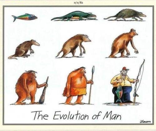 Evolution