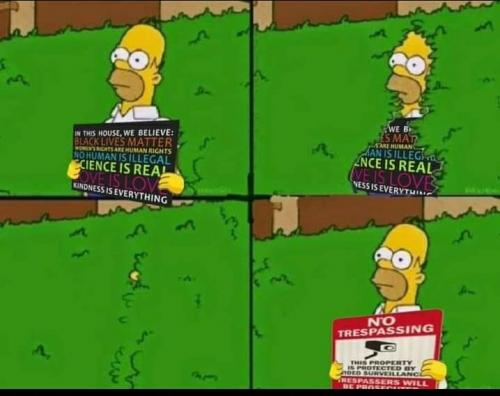 homer illegals