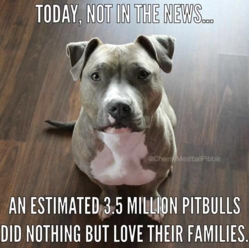 BD65A0B9-CC90-4140-AC9F-BCF3EBF1C797