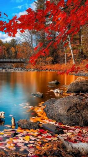 accd8703-3639-44a0-b0d0-3b3ac22d3451