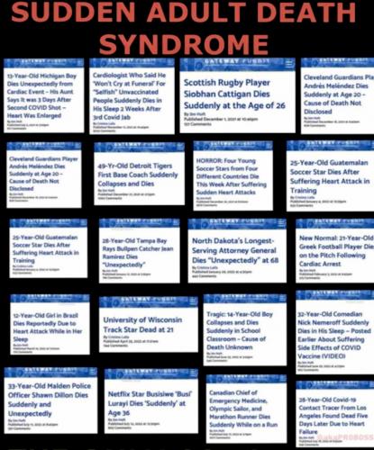 8D1C197D-4B0E-4E89-99B9-05C33875B91F