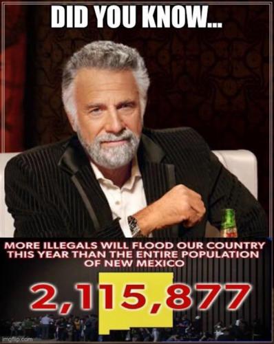 RO illegals