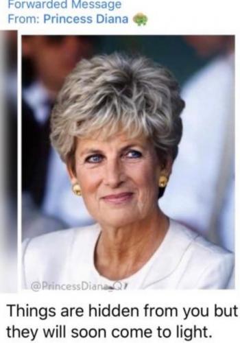 Screenshot_20221022-181730_Gallery