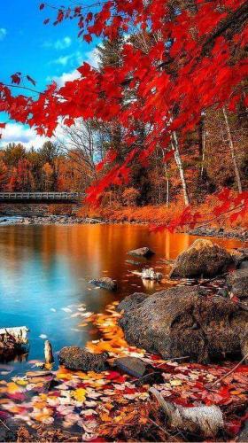 333f8f3d-1307-4bdd-898f-a2cdd085a8ee