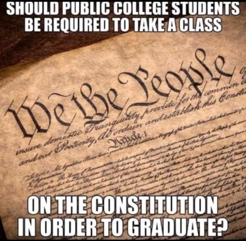 Constitution