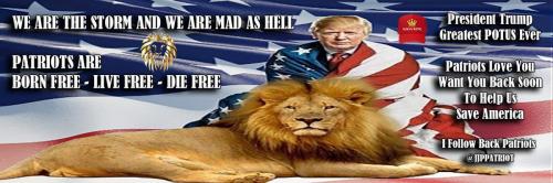 1-1-A-A-A-A_1-A-A-A-A-A-A-2020-A-A-A-A-A-BIDEN-A-MAGA-KING-HAT-TRUMP-8-1-HEADER