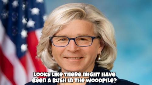 Hoosier Daddy Liz Cheney 888px