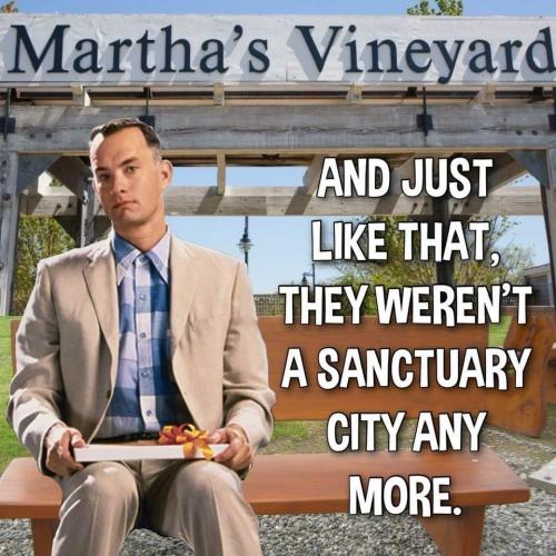 AA Sanctuary City