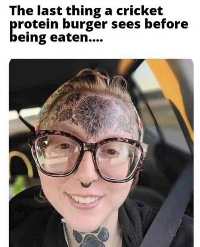 F3BFA0A1-BAB9-46EA-879D-3404EBD37FB9