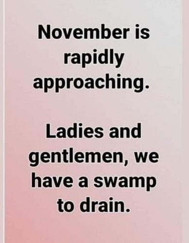 swamp to drain