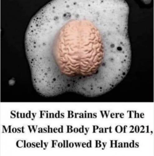 Brain 10 - 2020 brainwash