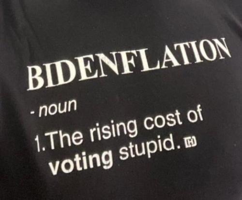 VotingStupid
