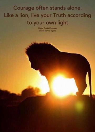 9a77fa66-a4f6-4820-842a-157320b7b3ff