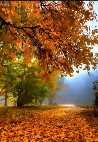 1048f5f1-e971-48dd-9a8c-1be2191ae579