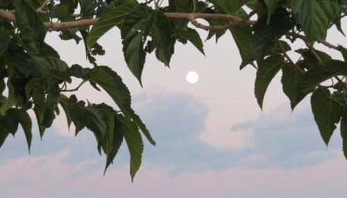 Moonrise May2017