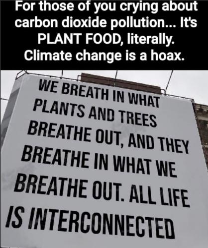 green needs CO2