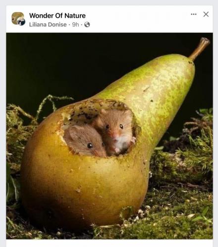 9ca050b1-7f34-4037-b980-ba6e7a85f063