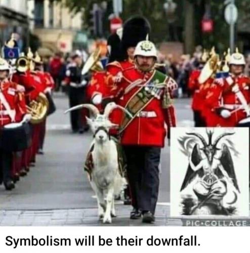 Screenshot_20221008-051841_Gallery