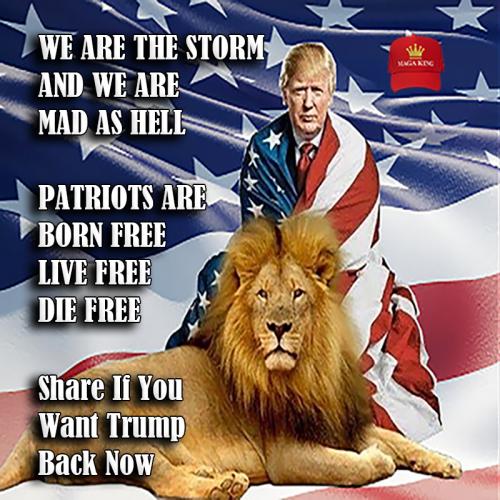 1-1-A-A-A-A_1-A-A-A-A-A-A-2020-A-A-A-A-A-BIDEN-A-MAGA-KING-HAT-TRUMP-8-1-FINAL