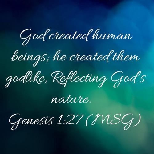 genesis 1 27