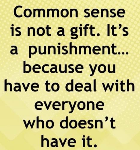 CommonSense