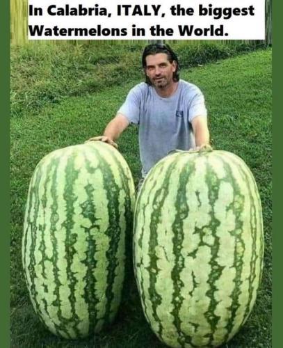 2fa63096-dfb6-41af-98c4-908c2fdd4c8d