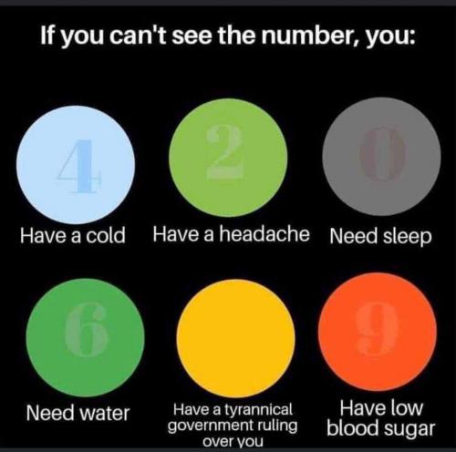 b4453eb6-db1c-4184-920a-71e16e03f6d6