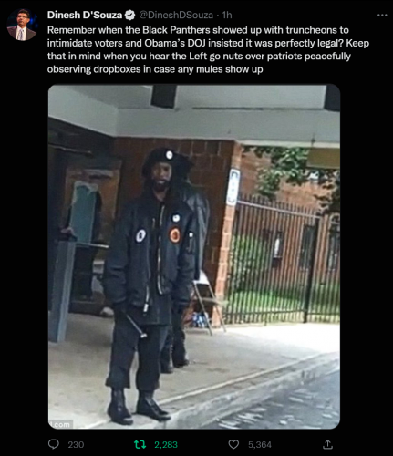 Black Panthers at polling station