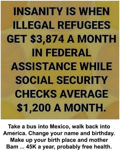 insanity