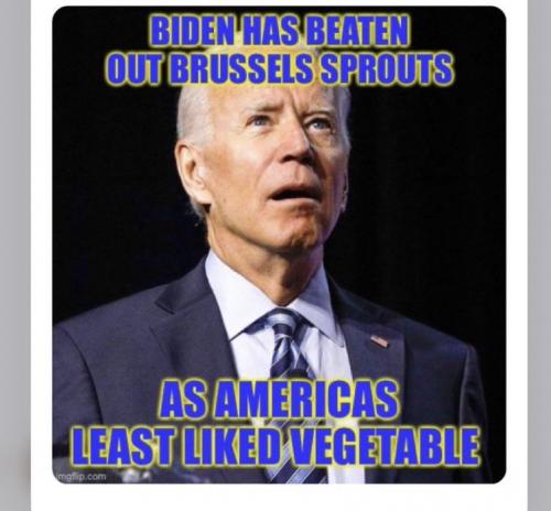 Vegetable Biden