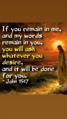 00442ed3-06a7-4597-bc84-59bc2acbbcff