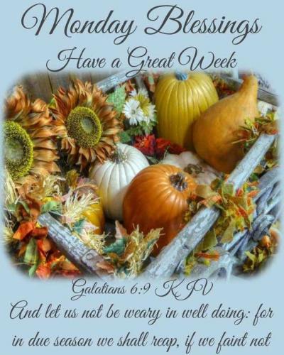 b08ed613-3f3a-4c71-b116-588d39742472