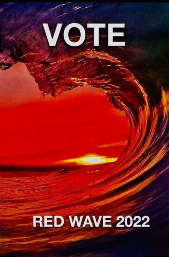 USA Vote RED