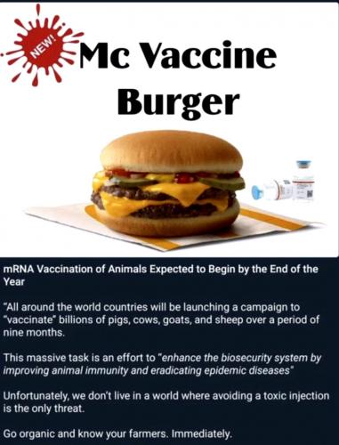 Mc Vaccine Burger