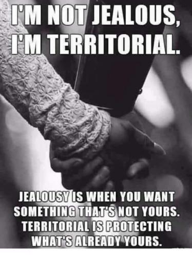 FB_IMG_1666819960814