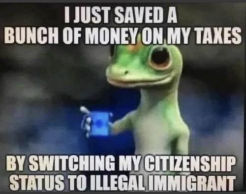 illegal alien save tax