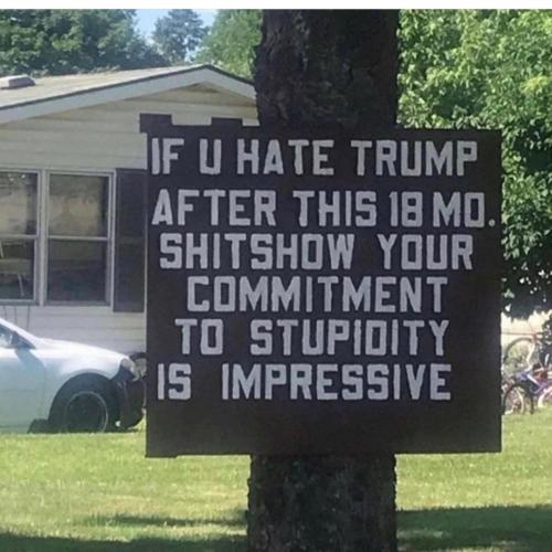 IMG_20221010_232743_331