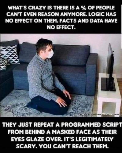 FB_IMG_1666502642693