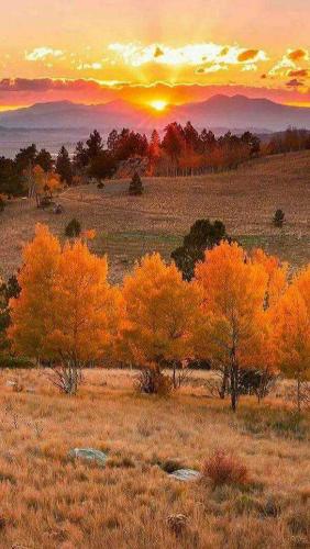 24ff2179-fc52-41c4-a7dc-afe07d55a105