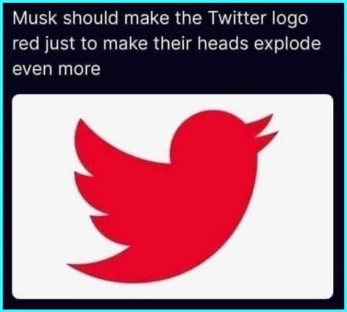 IMG_20221028_104840_743