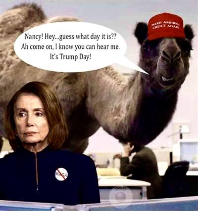 7BAE67BD-B354-450A-8E6C-07DAC4857CA7