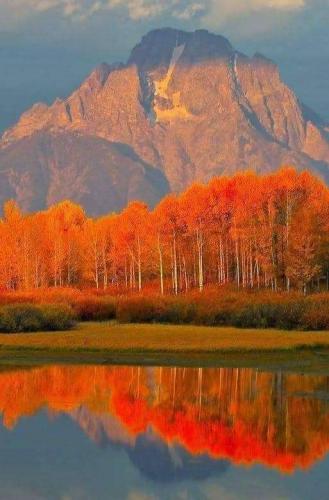 bd22abb8-7949-4d7e-af7a-063dc24e9fd8