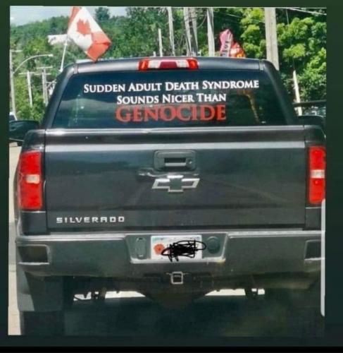 vaccination 41 - genocide