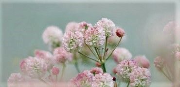 100222 - God’s Gentle Grace