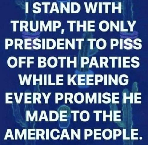 201f6d13-10eb-470b-9477-af903ae8024b