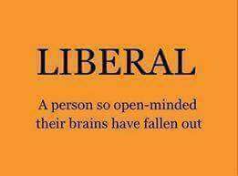 liberal brains