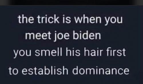 5B228BB0-D205-4EB5-AFD5-8FB3B40A612B