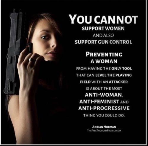 Gun best friend to women