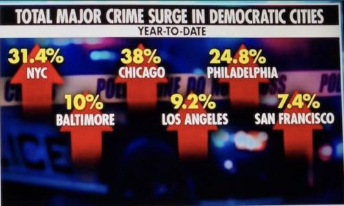 dem city crime