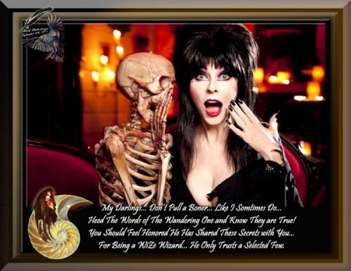 Elvira ~Words of The Wise Wizard~ Halloween 2016